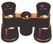 Swift Lark 811R (4x30) Binocular