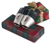 BSA 20-110x30 Binocular