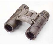 Bushnell Powerview (12x2)