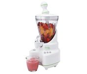 Back to Basics Smoothie Elite Work Top Blender