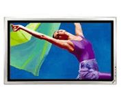 Sony PFM-42B2 42 in. HDTV Plasma Television