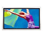 Sony PFM-42B1 42 in. HDTV-Ready Plasma Television