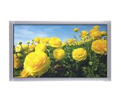 Zenith P42W46X 42 in. EDTV Plasma Television
