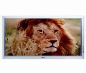 Fujitsu Plasmavision P42HHA10 42 in. Television