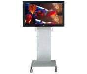 Fujitsu Plasmavision PDS-4229 42 in. Television