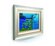 Philips MiraVision iTV0703 (17 in.) LCD Television