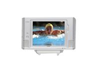 Casio XF-1000 10 in. LCD Television