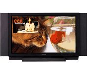 Samsung PPM42S2 42 in. Plasma Television