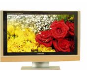 Samsung OLED 21 in. Television