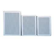MAS Audio IW8 Main / Stereo Speaker