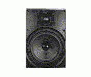OEM Systems AW-700 Rear Speaker