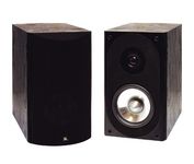 Audiovox ARVP24 Main / Stereo Speaker
