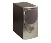 Audiovox Heritage 300 Main / Stereo Speaker