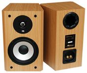 Axiom Audio Millennia M3ti Main / Stereo Speaker