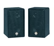 BIC America RtR 432 Main / Stereo Speaker