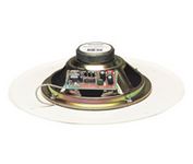 Bogen Communication ASWG-1 Main / Stereo Speaker