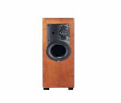 Athena P1 Speaker