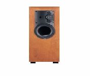 Athena P2 Speaker