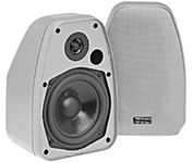BIC America ADATTO DV52si Main / Stereo Speaker