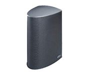 Celestion C5-R Speaker