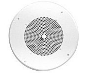 CSi/Speco G810CT70GP Speaker