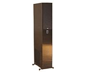 Now Hear This VT-2 A/V Tower Speaker