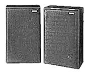 Pioneer CS-G305K Speaker