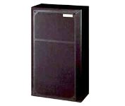 Pioneer CS-G105-K Speaker