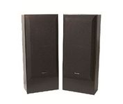 Pioneer CS-T2100K Speaker