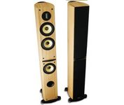 Pioneer S-H810V Main / Stereo Speaker