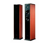 AAD C500i Main / Stereo Speaker