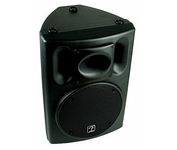 Fender ACE-12 Main / Stereo Speaker