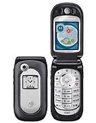 MOTOROLA V361
