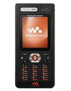 SONY-ERICSSON W888
