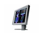 Eizo FlexScan L985EX (Black, Gray) 21.3 in. Flat Panel LCD Monitor