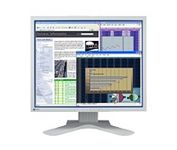 Eizo L-768 (Gray) 19 in. Flat Panel LCD Monitor