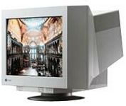 Eizo FlexScan T 962 (Gray) 21 in.CRT Conventional Monitor