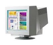 Eizo FlexScan F 931 (Gray) 21 in.CRT Conventional Monitor