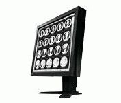 Eizo FC 2090 20.8 in. Flat Panel LCD Monitor