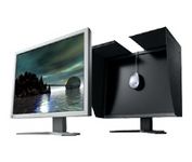 Eizo ColorEdge CG19 (Black, Gray) 19 in. Flat Panel LCD Monitor