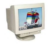 Famous Brand J156-1902 19 in.CRT Conventional Monitor