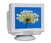 Famous Brand J156-1706 (Beige) 17 in.CRT Conventional Monitor