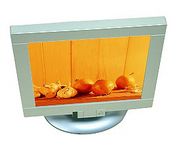 GVision L7VH (White) 17 in. Flat Panel LCD Monitor
