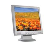 Acer AL1911 19 in. Flat Panel LCD Monitor