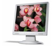 Acer AL1711M 17 in. Flat Panel LCD Monitor