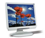 Acer AL2021M 20 in. Flat Panel LCD Monitor