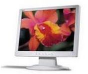 Acer AL1513 (White) 15 in. Flat Panel LCD Monitor