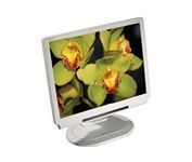Acer AL1521M (Silver) 15 in. Flat Panel LCD Monitor