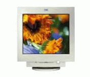 IBM P 275 (Pearl) 21 in.CRT Conventional Monitor