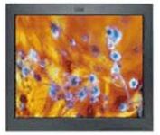IBM T 86 (Pearl, White) 18.1 in. Flat Panel LCD Monitor